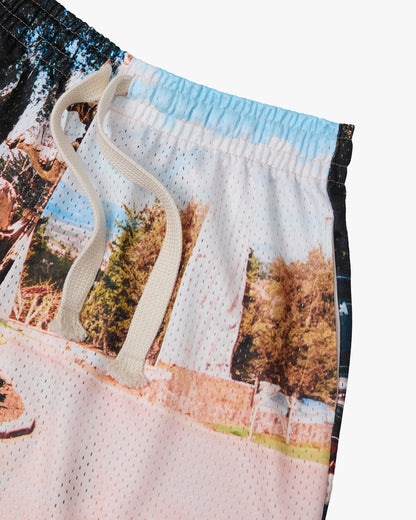 Photographic Mesh Short