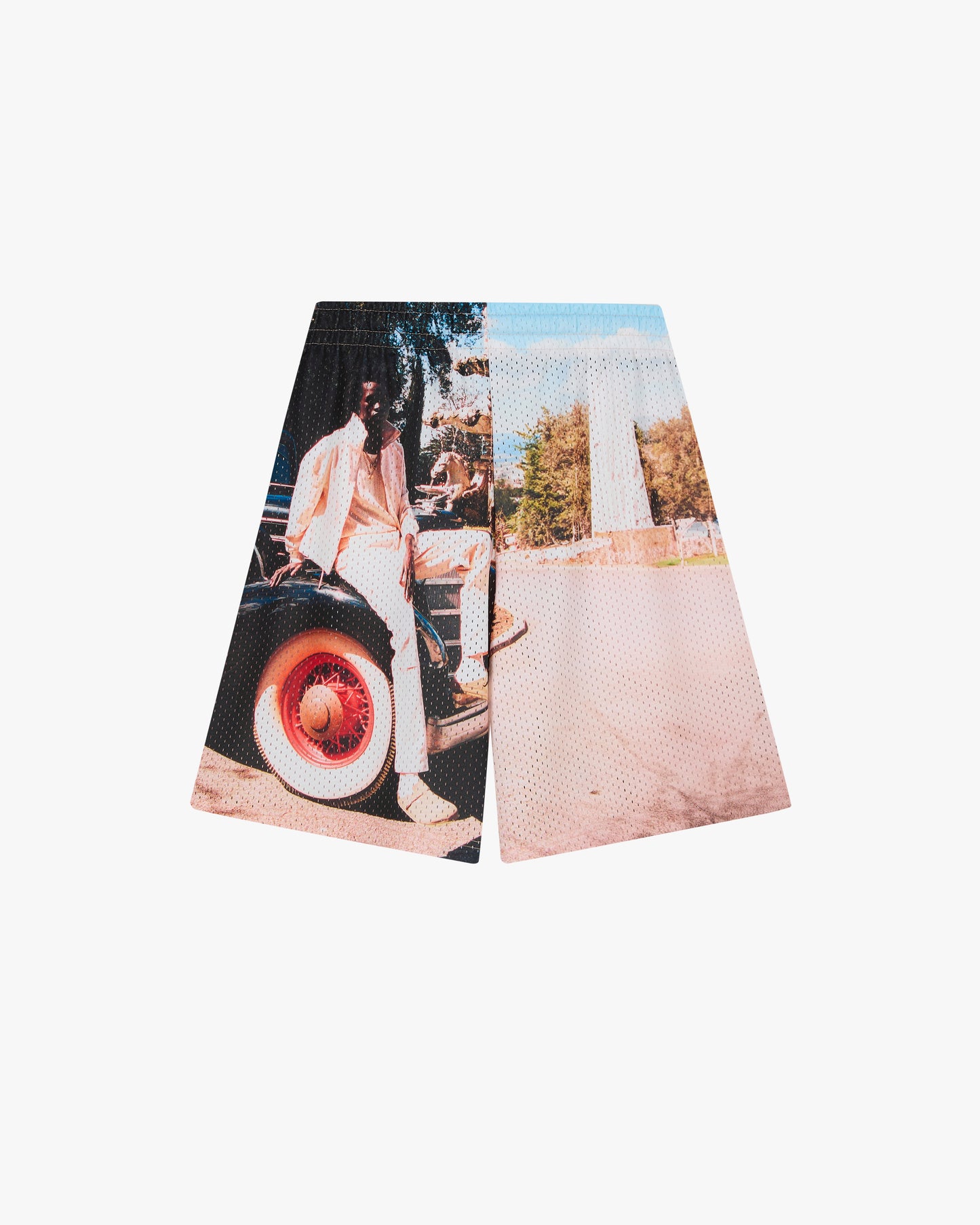 Photographic Mesh Short